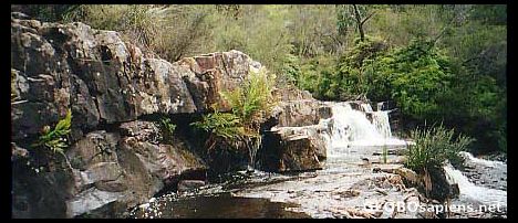Postcard Mc Kenzie Falls