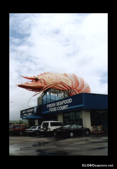 Postcard king prawn