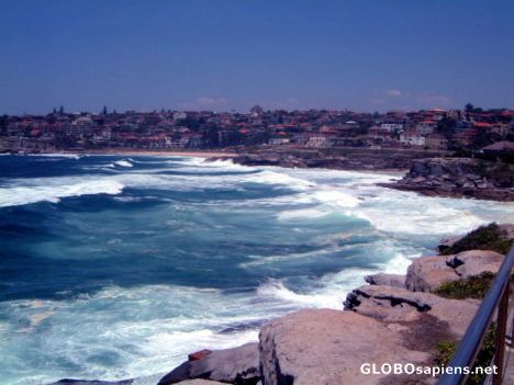 Postcard Bondi Beach