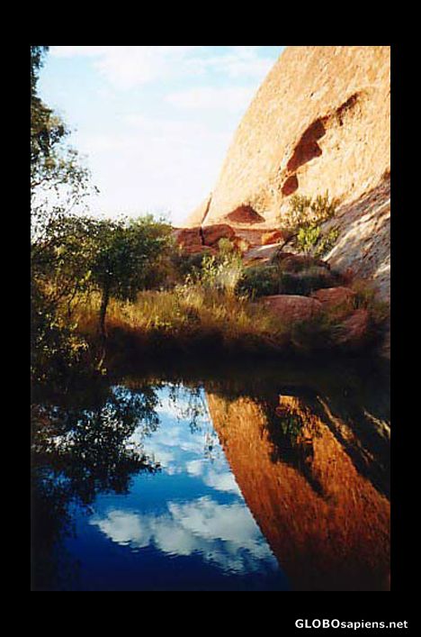 Postcard Reflection