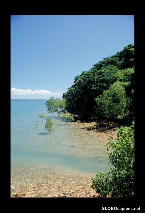 Postcard Darwin’s bay.