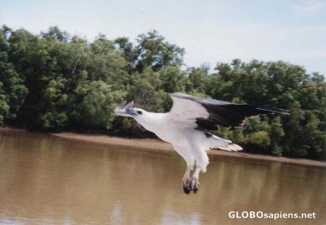 Postcard Kakadu National Park
