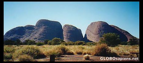 Postcard Olgas