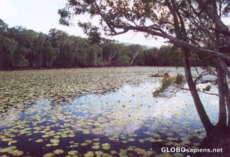 Postcard Keatings Lagoon 1