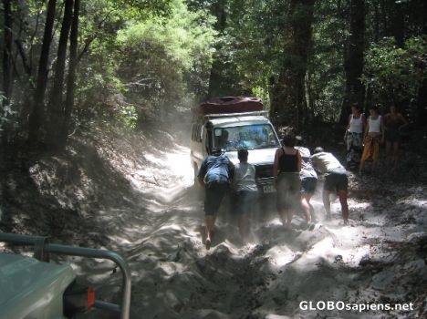 Postcard Jeep safari on Fraser Island