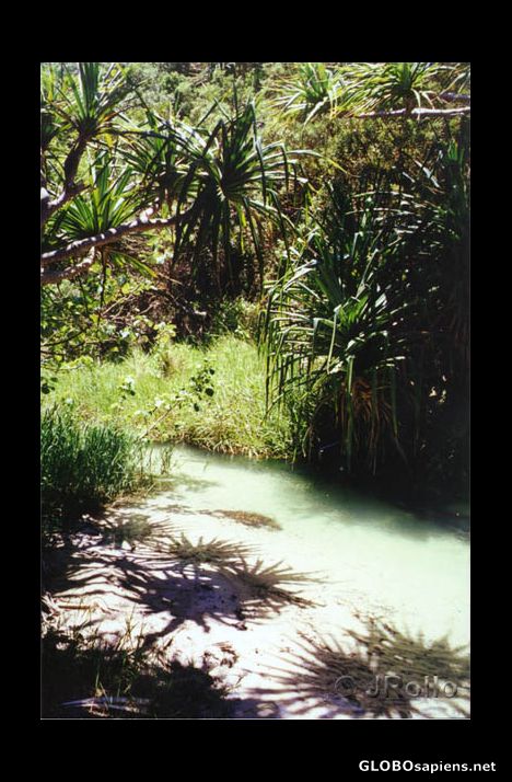 Postcard Elli Creek