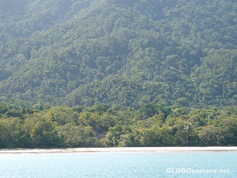 Postcard Cape tribulation Beach