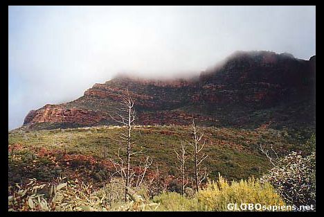 Postcard Flinders Ranges