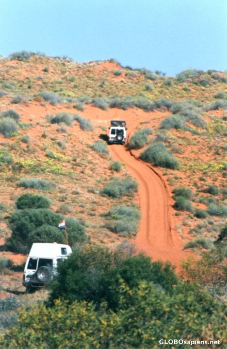 Postcard Simpson Desert