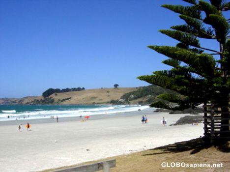 Postcard Boat Harbour Beach