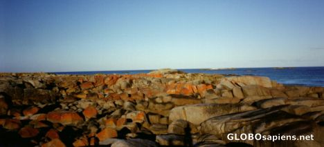 Postcard Bay of fire - Tasmania