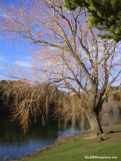 Postcard Lake at Daylesford