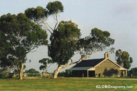 Postcard Australiana
