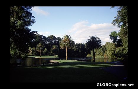 Postcard botanic gardens