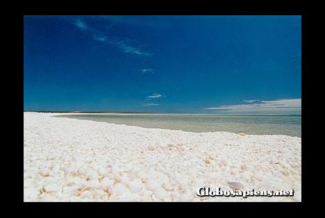 Postcard Shelly Beach - WA
