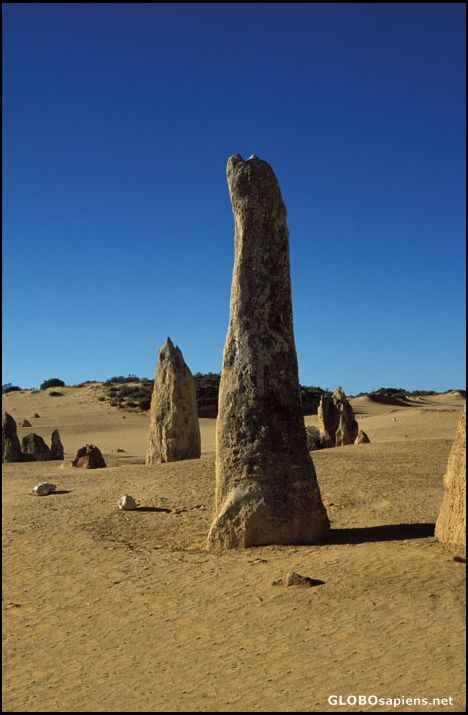 Postcard Pinnacle Desert