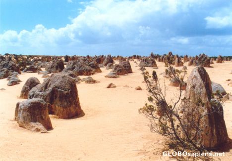 Postcard The Pinnacles