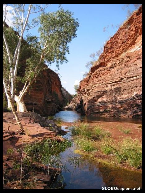 Postcard Hamersley Gorge, Karijini NP