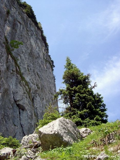 Postcard On our way to the mountain \'Spitzstein\'