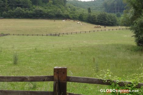 Postcard countryside