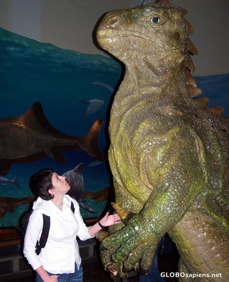 Postcard My first meeting with a Dinosaur/Nature Museum