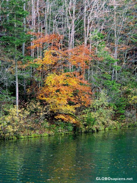 Postcard Autum Austria