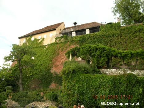 Postcard graz 06