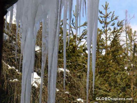 Postcard Icicle