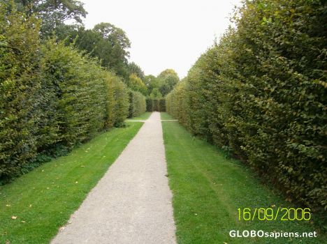 Postcard Schonbrunn Palace 05