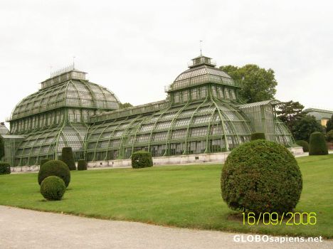 Postcard Schonbrunn Palace 06