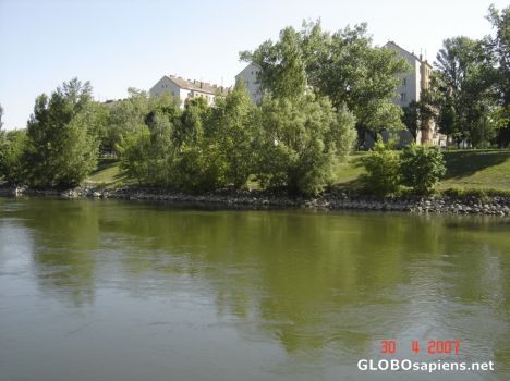 Postcard Danub River Side