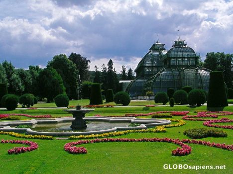 Postcard Palm house and gardens