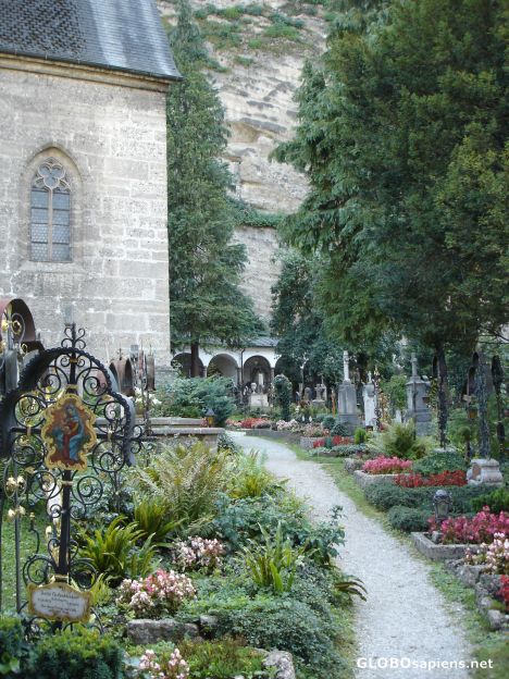 Postcard Beautiful cemetary