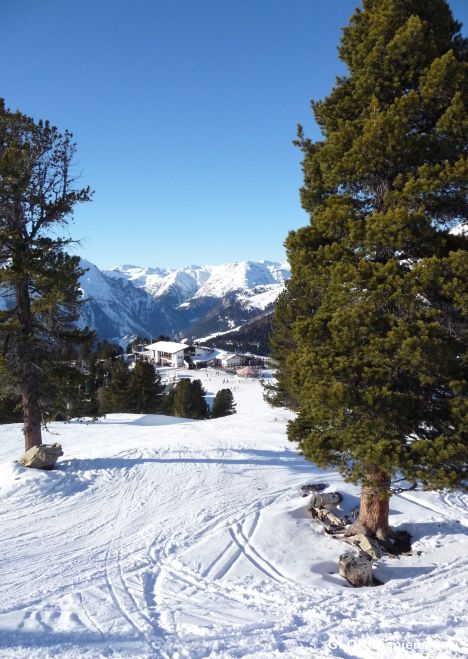 Postcard Downhill
