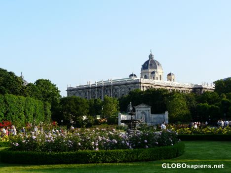 Postcard Volksgarten