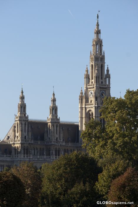 Postcard Vienna City Hall