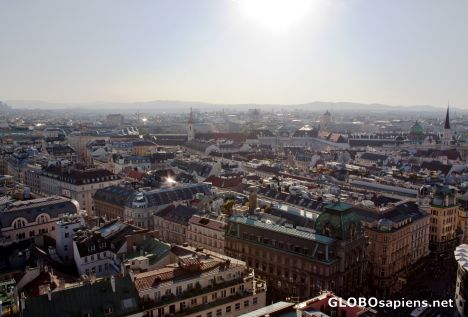 Postcard Vienna back lit