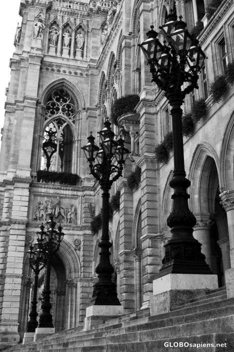 Postcard Vienna impressions (b/w)