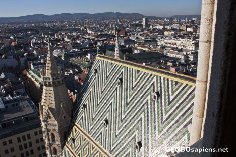 Postcard Colourful roof