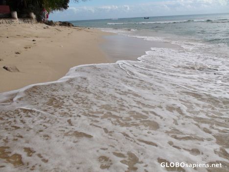 Postcard Gentle Caribbean Waves Lapping at a Quiet Beach