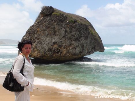 Postcard Landmark Rock at Bathsheba