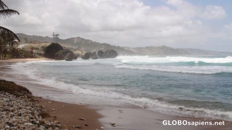 Postcard Rugged Atlantic Coast Near Bathsheba