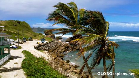 Postcard The Atlantic Coast of Barbados