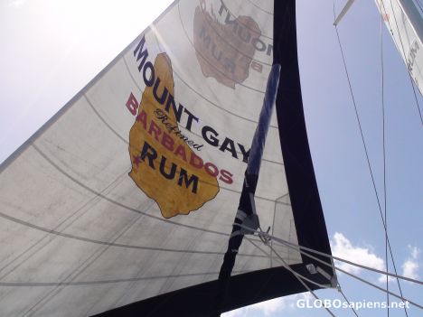 Postcard Mount Gay Rum / Catamaran Sail