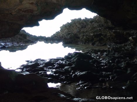 Postcard Animal Flower Cave (Northern Tip of Barbados)