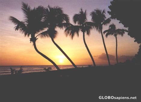 Postcard A beautiful sunset on the island of Barbados