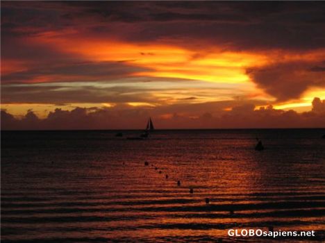 Postcard Sunset in Barbados
