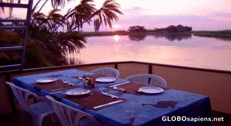 Postcard The way to enjoy fresh fish in Botswana
