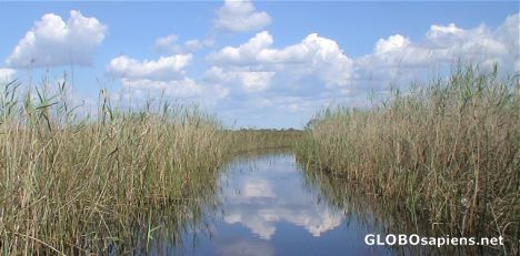 Postcard Delta Okavango