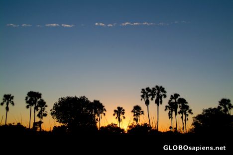 Postcard Okavango Delta - before the dusk. Just.